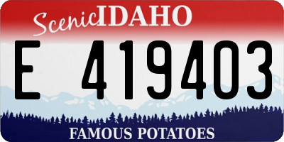 ID license plate E419403