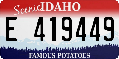 ID license plate E419449