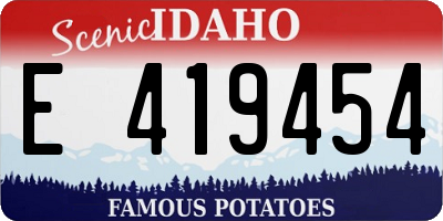 ID license plate E419454