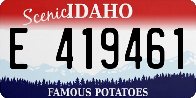 ID license plate E419461