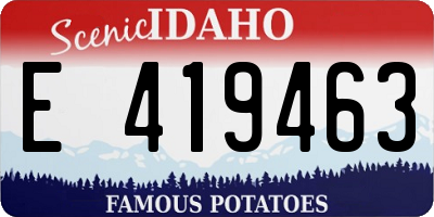 ID license plate E419463