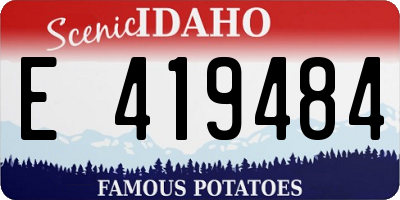 ID license plate E419484