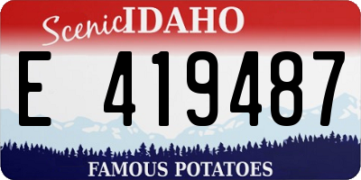 ID license plate E419487
