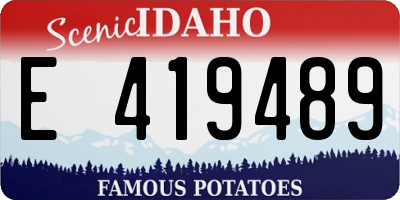 ID license plate E419489