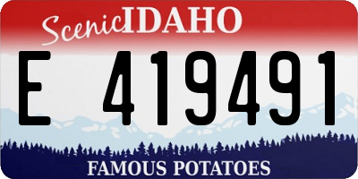 ID license plate E419491
