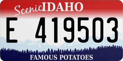 ID license plate E419503