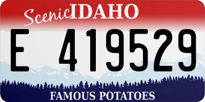 ID license plate E419529