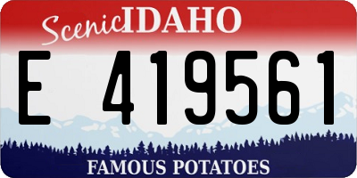 ID license plate E419561