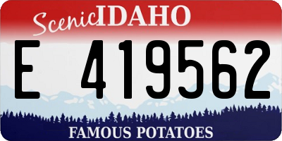 ID license plate E419562
