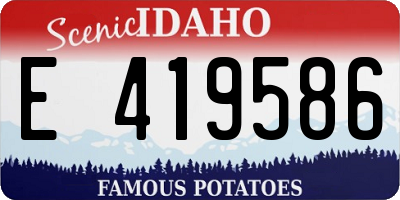 ID license plate E419586