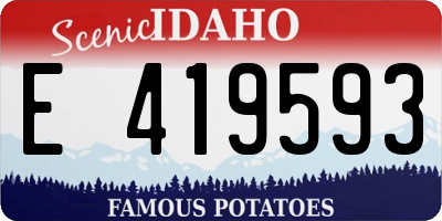 ID license plate E419593