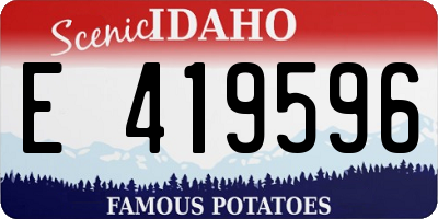 ID license plate E419596