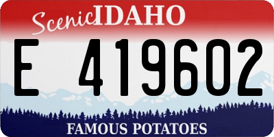ID license plate E419602