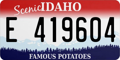 ID license plate E419604
