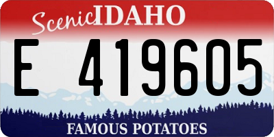 ID license plate E419605