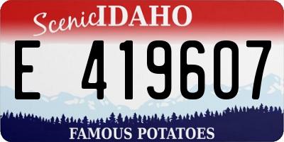 ID license plate E419607