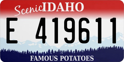 ID license plate E419611