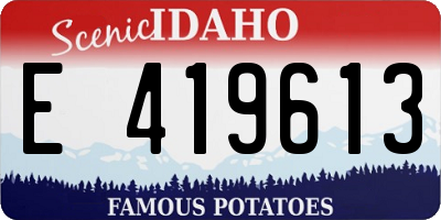 ID license plate E419613