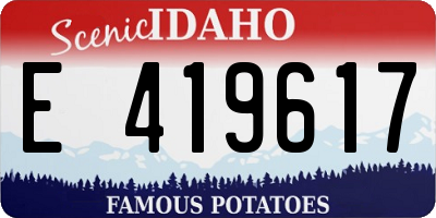 ID license plate E419617