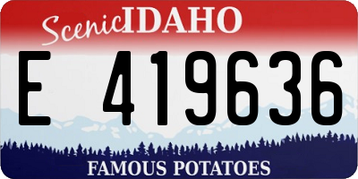 ID license plate E419636