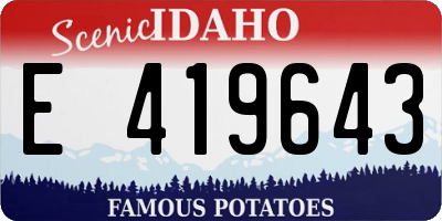 ID license plate E419643