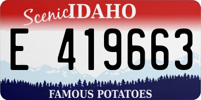 ID license plate E419663