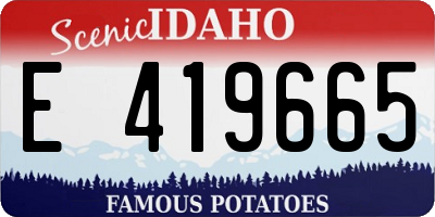 ID license plate E419665