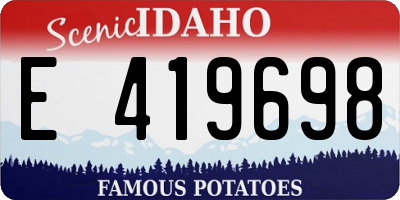 ID license plate E419698