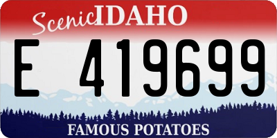 ID license plate E419699