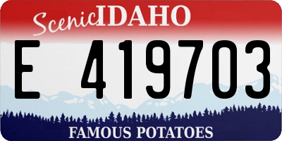 ID license plate E419703