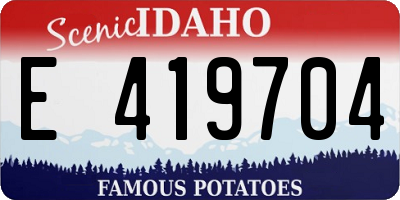 ID license plate E419704