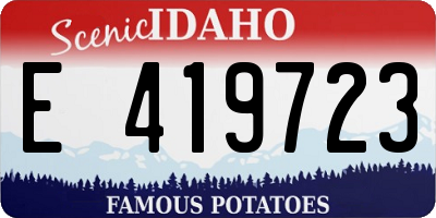 ID license plate E419723