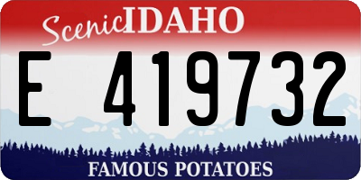 ID license plate E419732