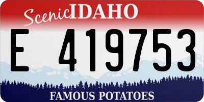 ID license plate E419753