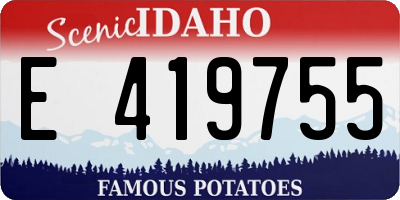 ID license plate E419755