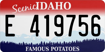 ID license plate E419756