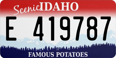 ID license plate E419787