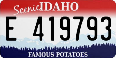 ID license plate E419793
