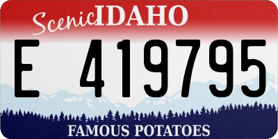 ID license plate E419795