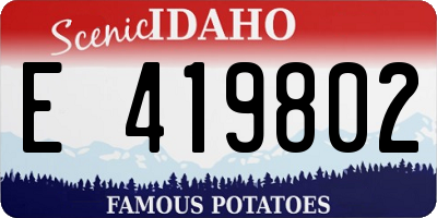 ID license plate E419802