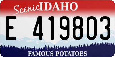 ID license plate E419803