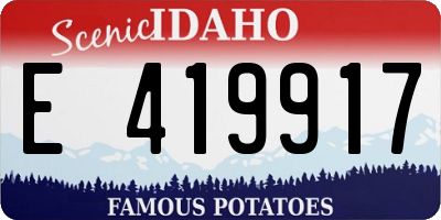 ID license plate E419917