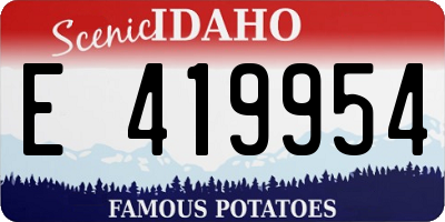ID license plate E419954