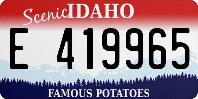 ID license plate E419965