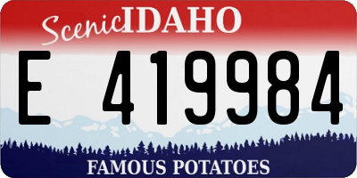 ID license plate E419984