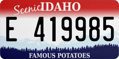 ID license plate E419985