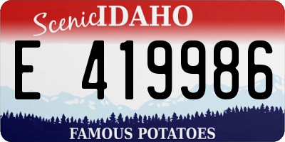 ID license plate E419986