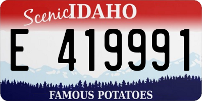 ID license plate E419991