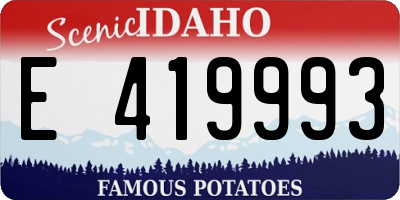 ID license plate E419993