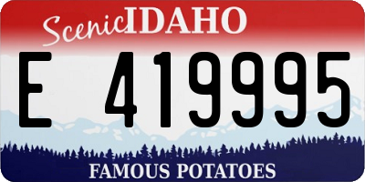ID license plate E419995